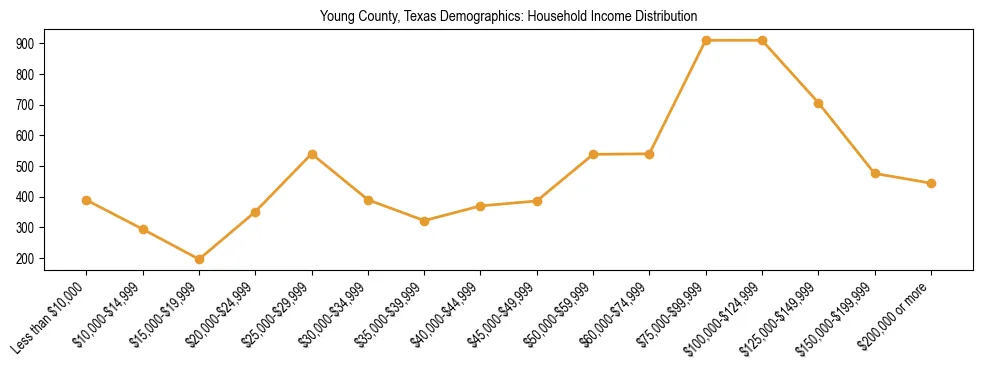 Horizontal bar chart showing household income distribution in Young County, Texas.