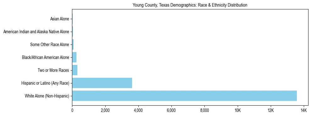 Race and Ethnicity Distribution Chart for Young County, Texas