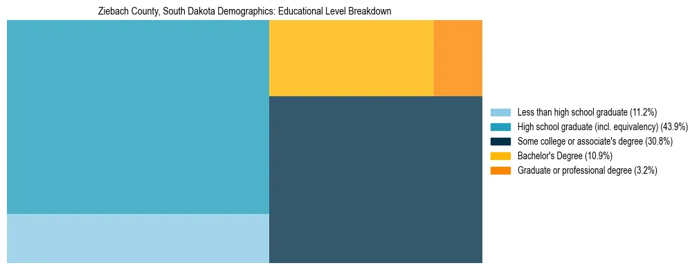 Treemap chart illustrating the educational attainment breakdown for population 25 years and over in Ziebach County, South Dakota.