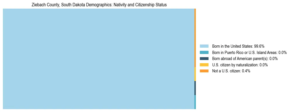 Treemap showing the population distribution by nativity and citizenship status in Ziebach County, South Dakota based on U.S. Census data.