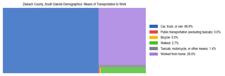 Treemap showing means of transportation to work distribution in Ziebach County, South Dakota.