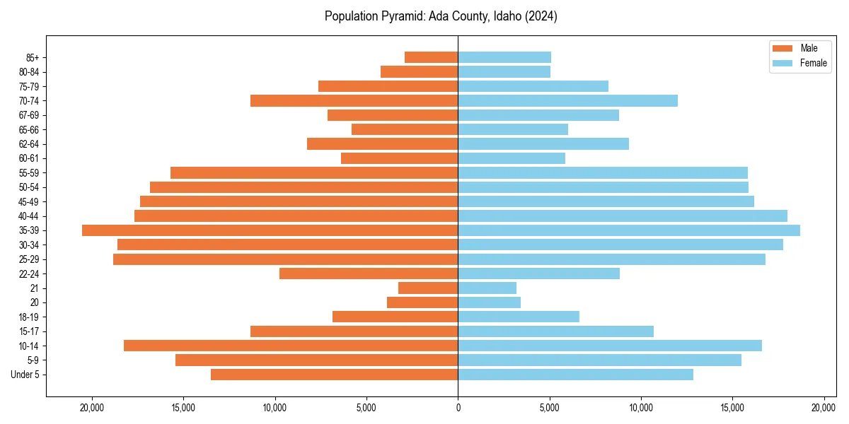 Population pyramid for 