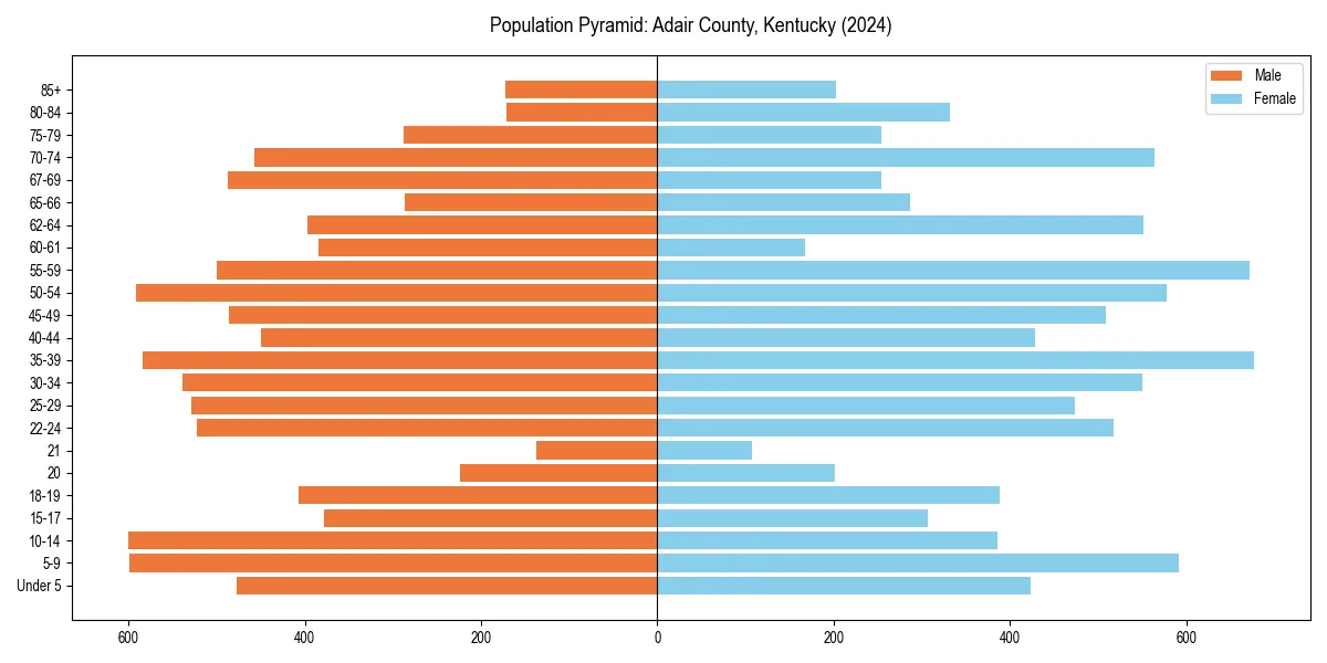 Population pyramid for 
