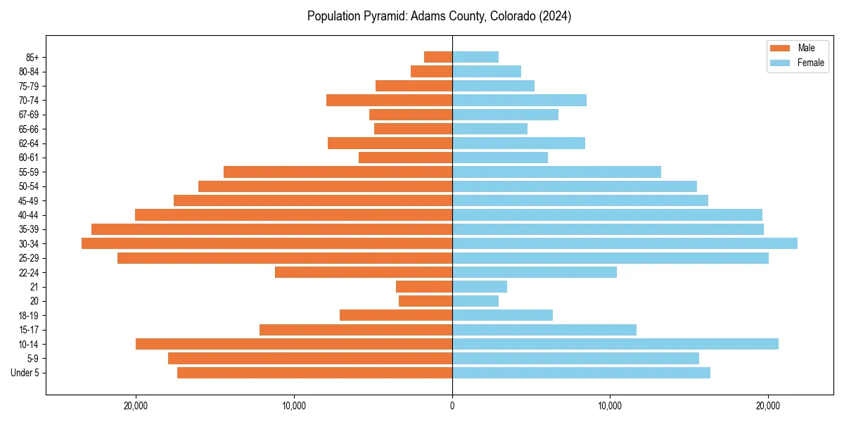 Population pyramid for 