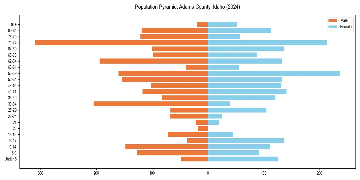 Population pyramid for 
