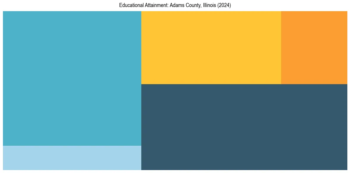 Education Treemap for  in 2024