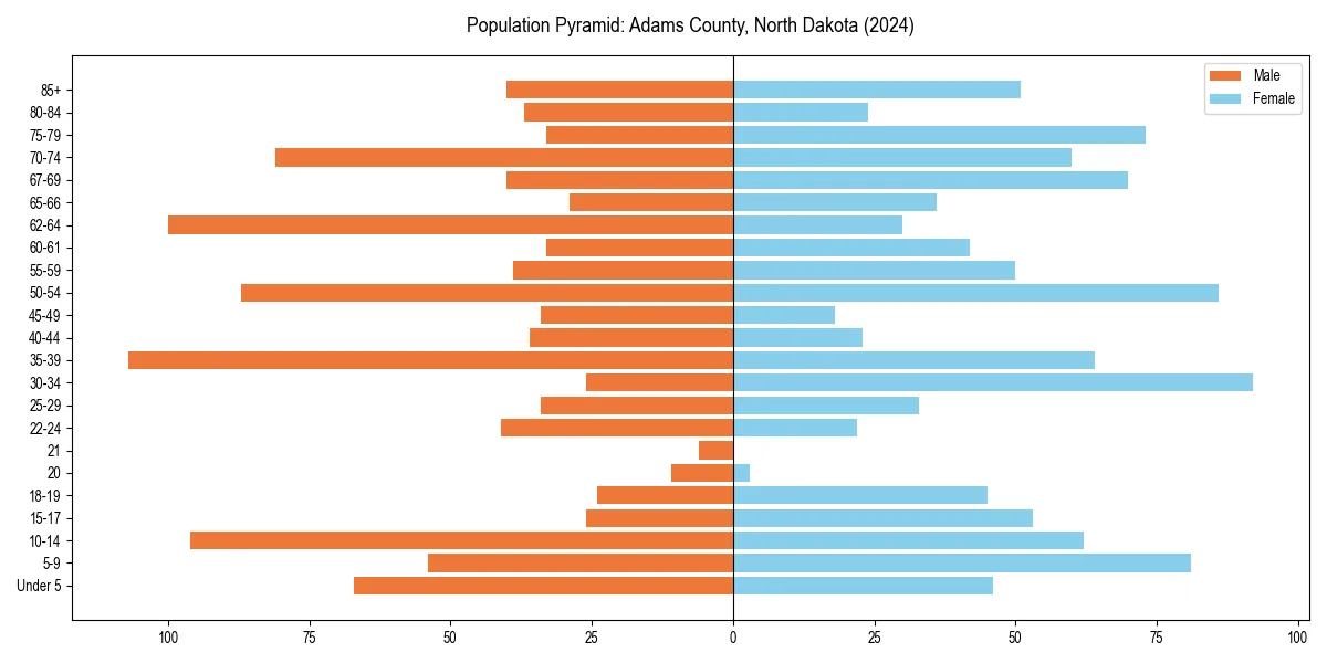 Population pyramid for 