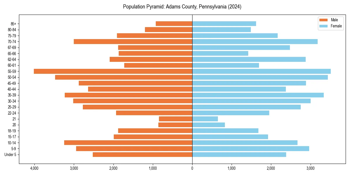 Population pyramid for 