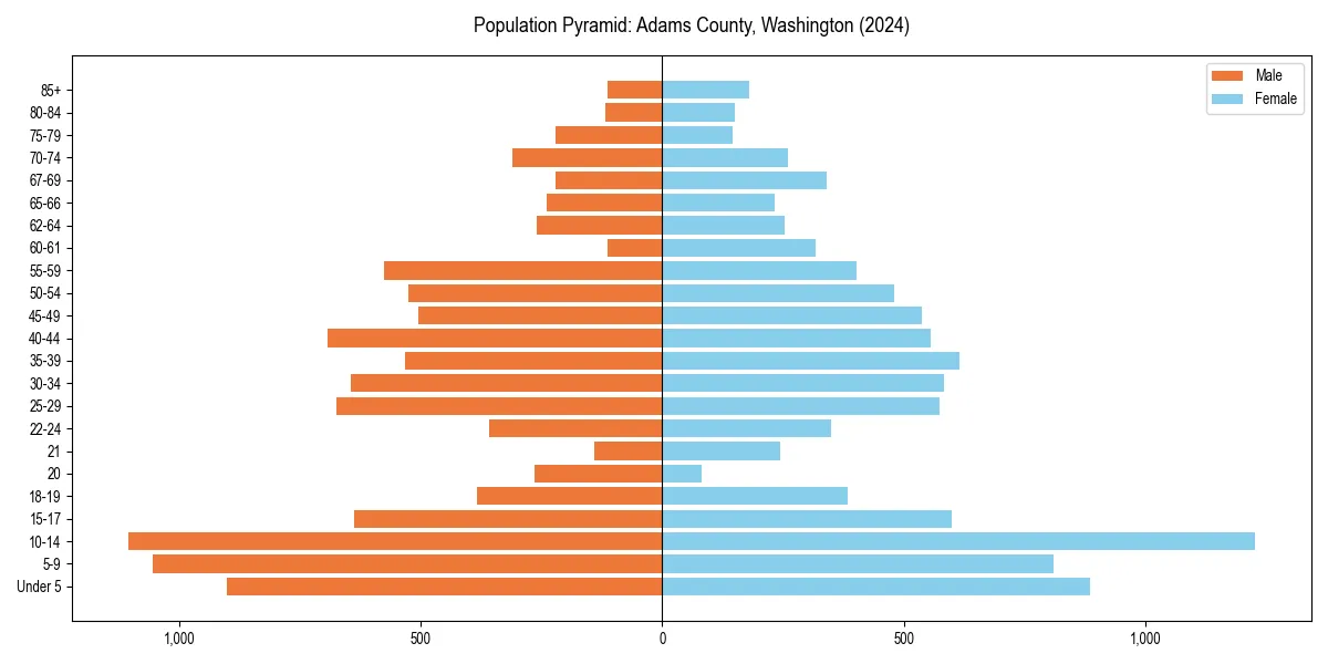 Population pyramid for 