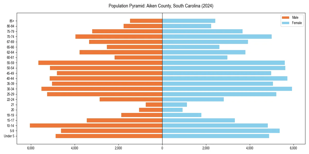 Population pyramid for 