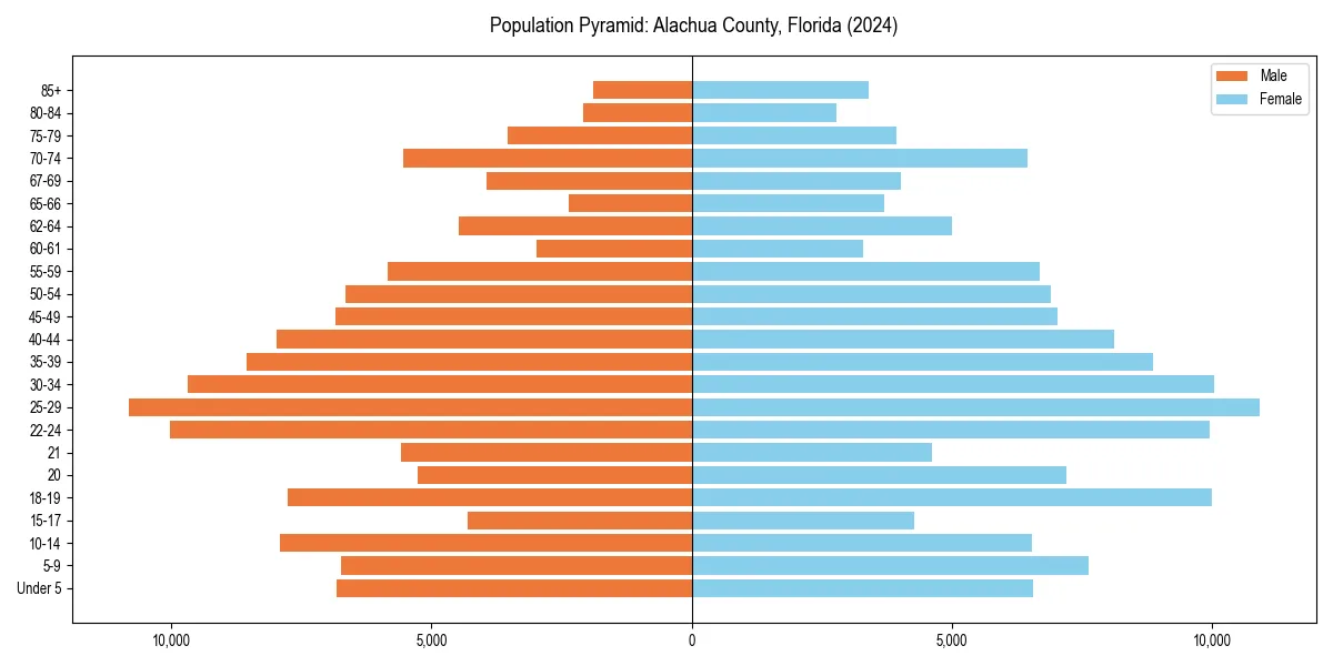 Population pyramid for 