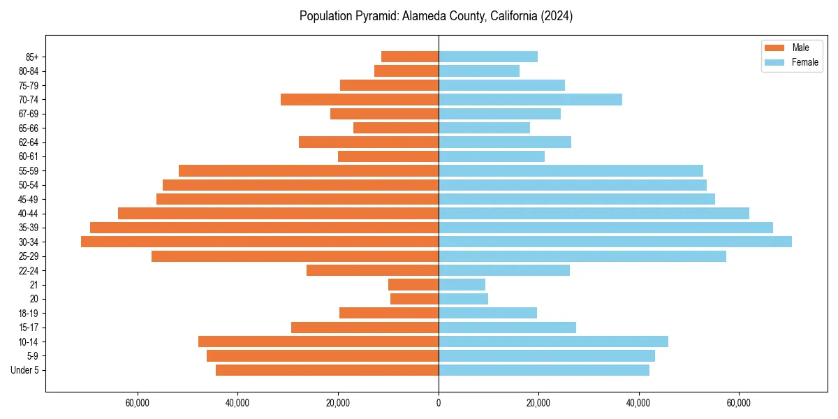 Population pyramid for 