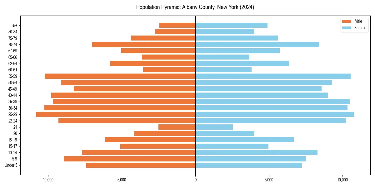 Population pyramid for 