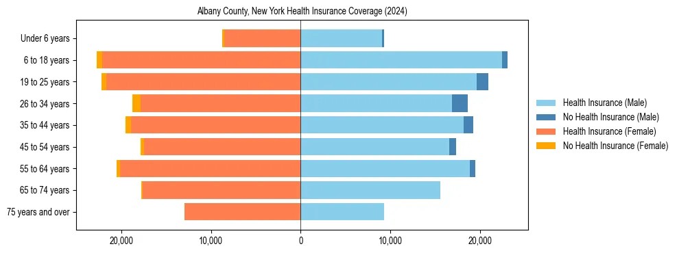 Health insurance pyramid for Albany County, New York