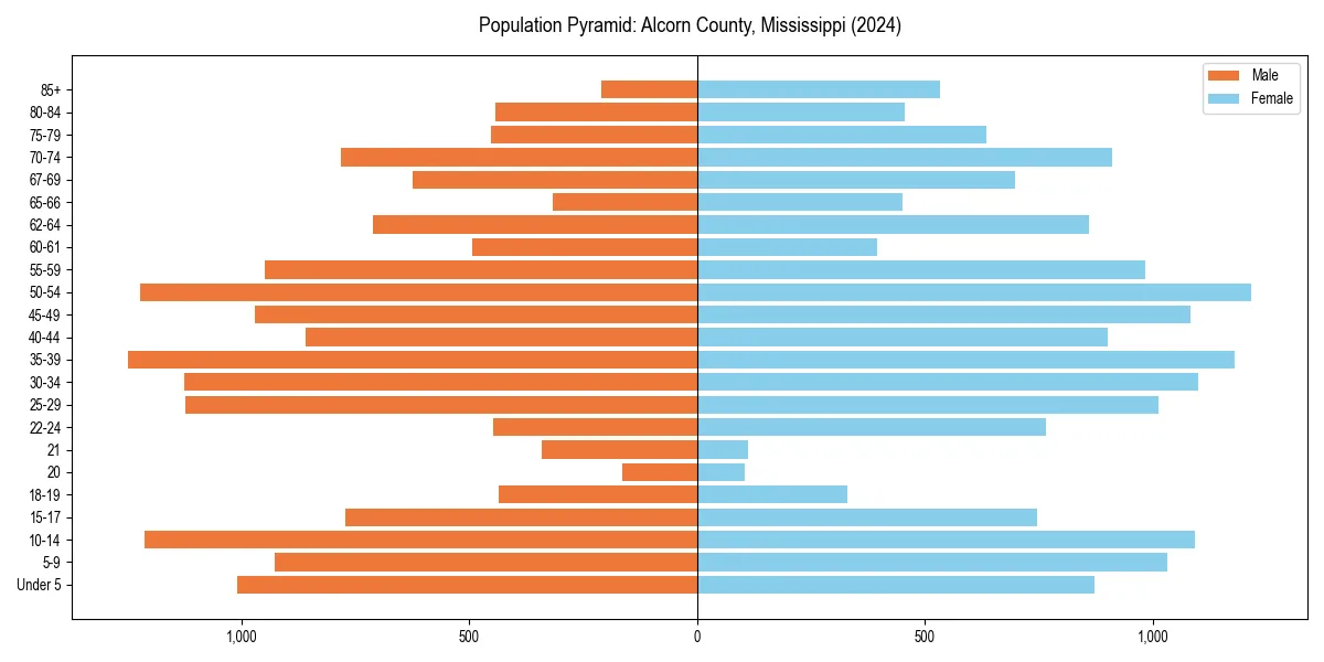 Population pyramid for 