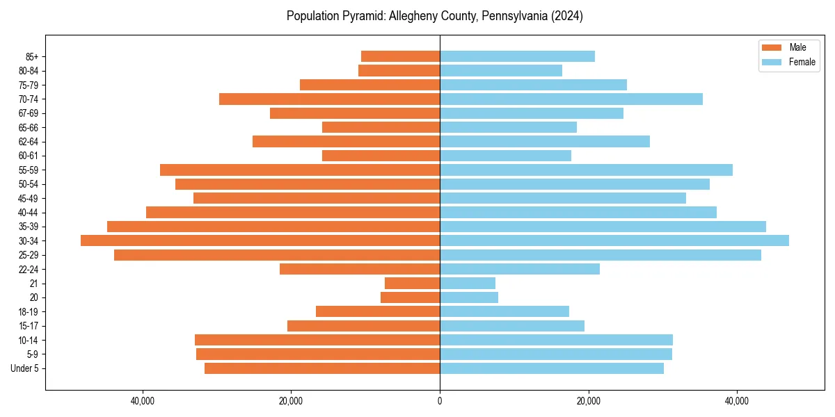 Population pyramid for 