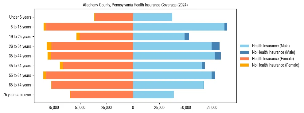 Health insurance pyramid for Allegheny County, Pennsylvania