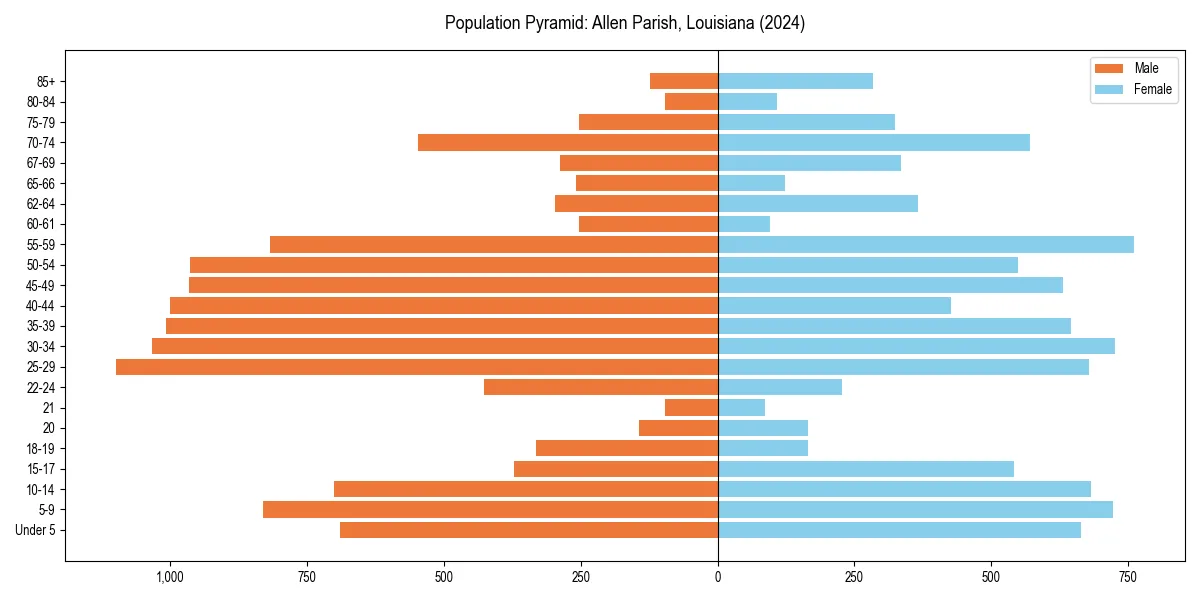 Population pyramid for 