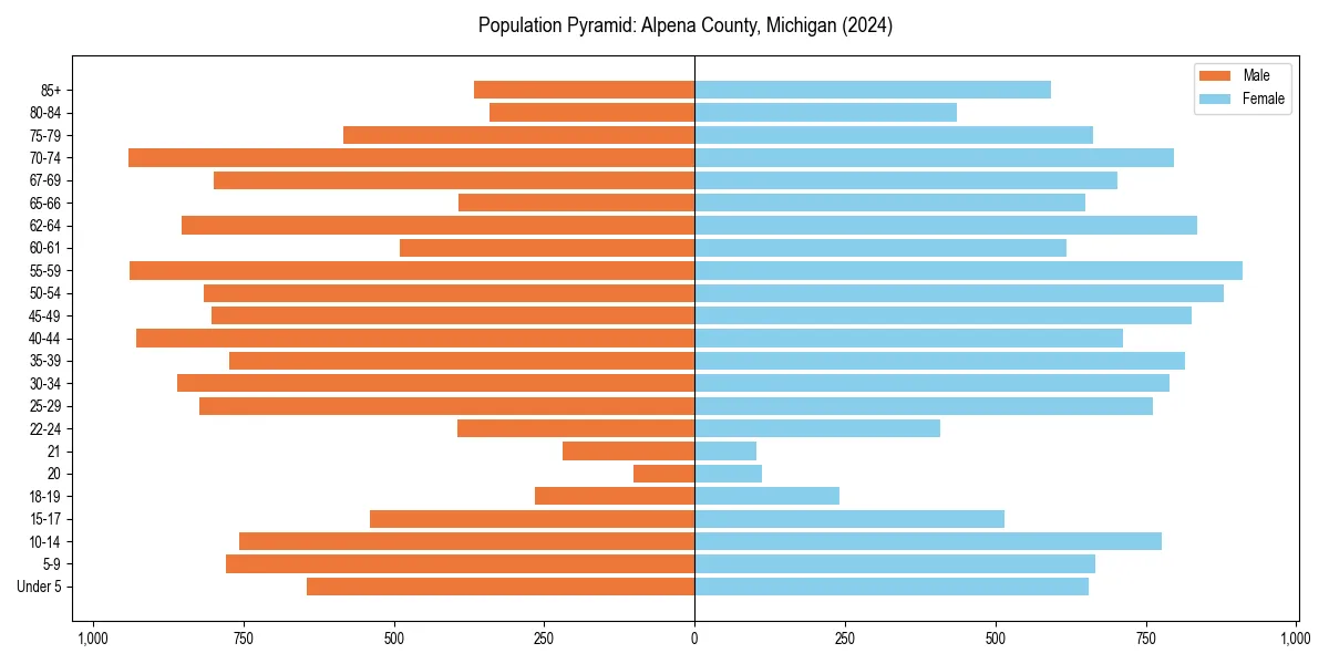 Population pyramid for 