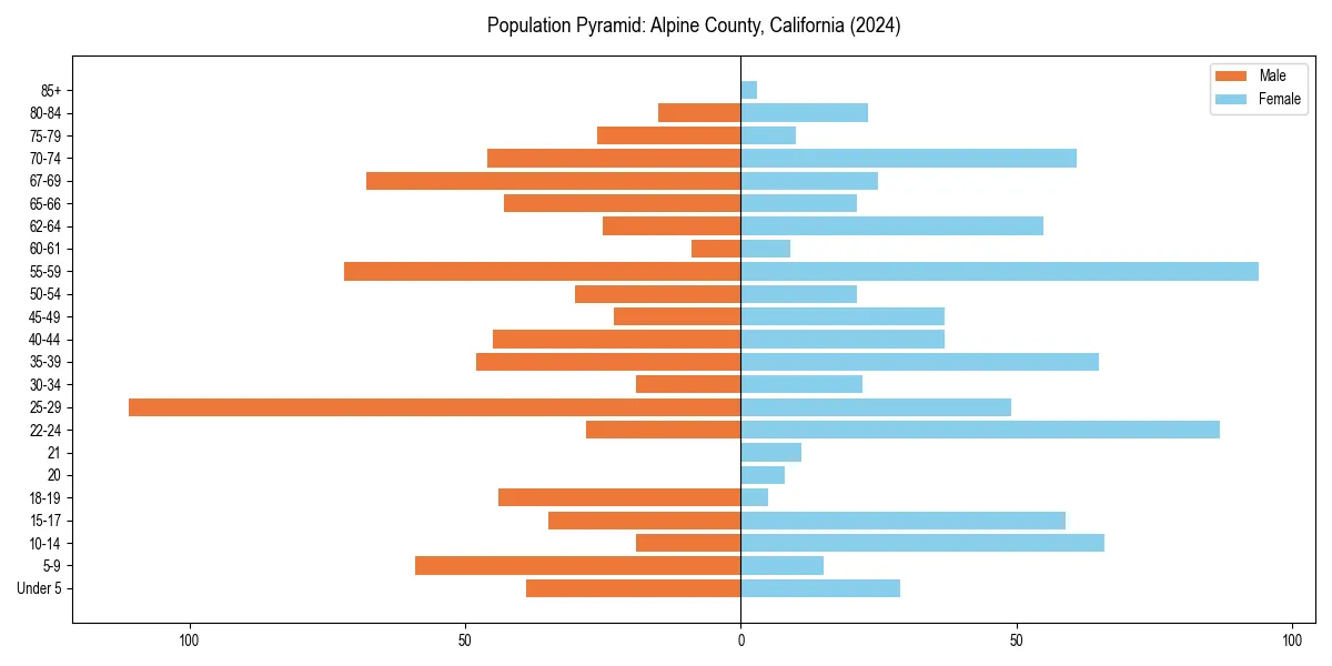 Population pyramid for 
