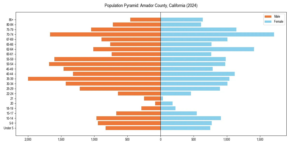 Population pyramid for 