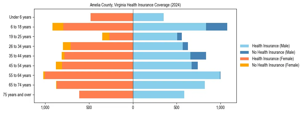 Health insurance pyramid for Amelia County, Virginia