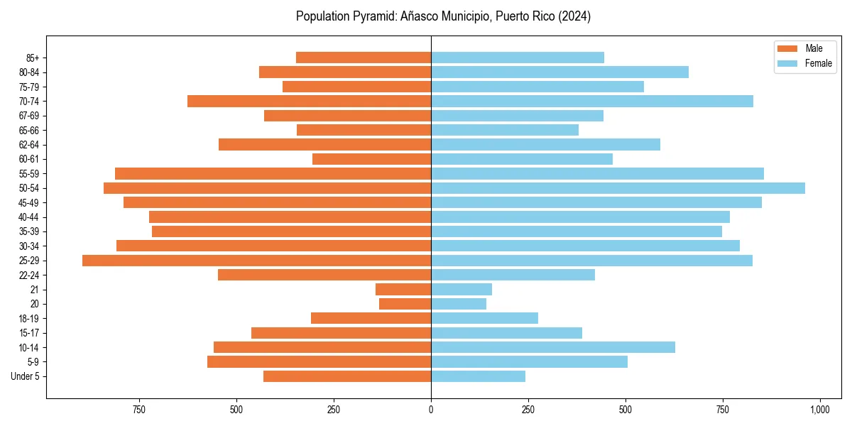 Population pyramid for 