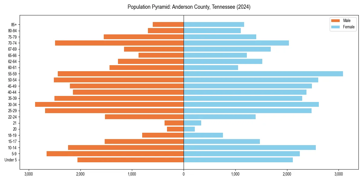 Population pyramid for 