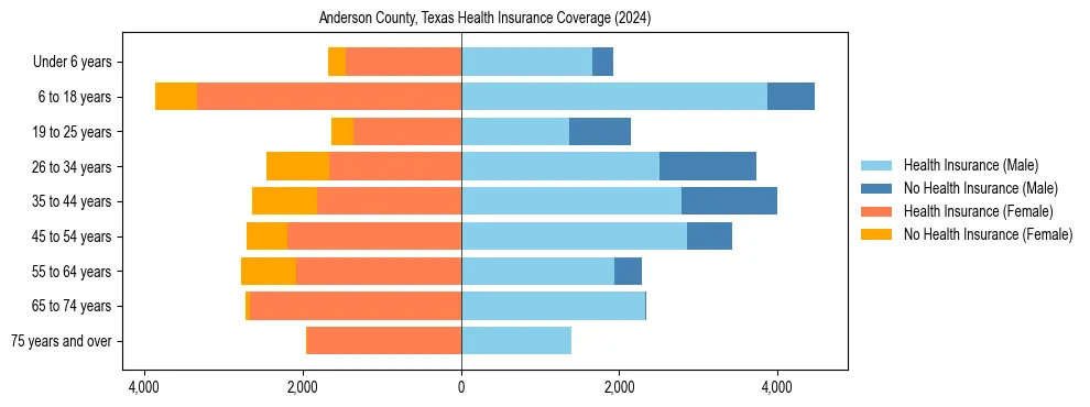 Health insurance pyramid for Anderson County, Texas