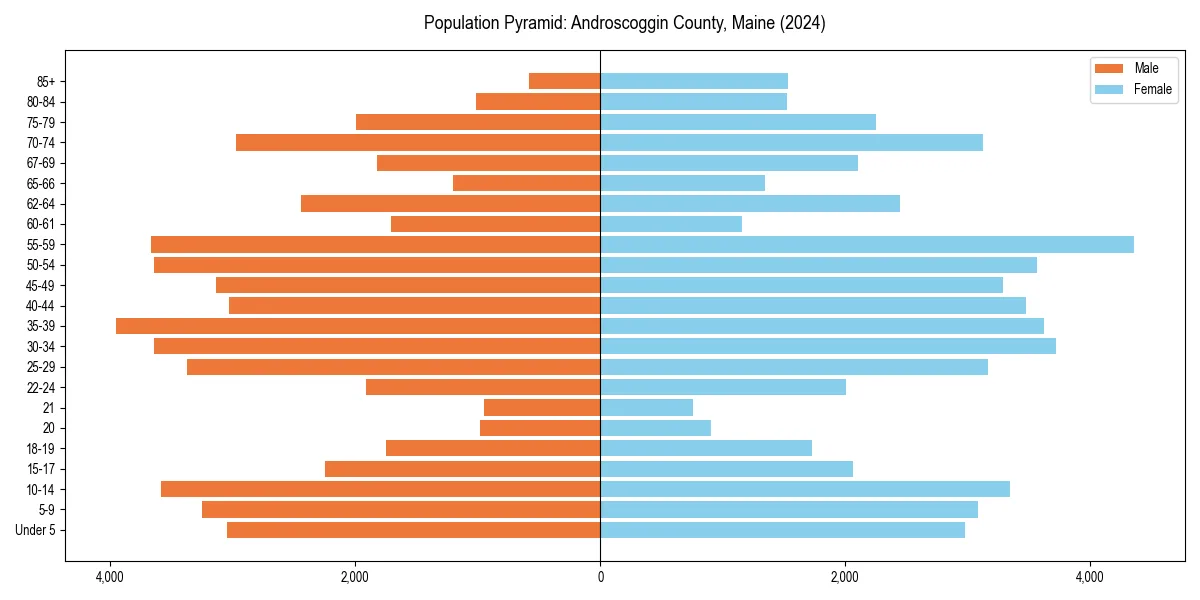 Population pyramid for 