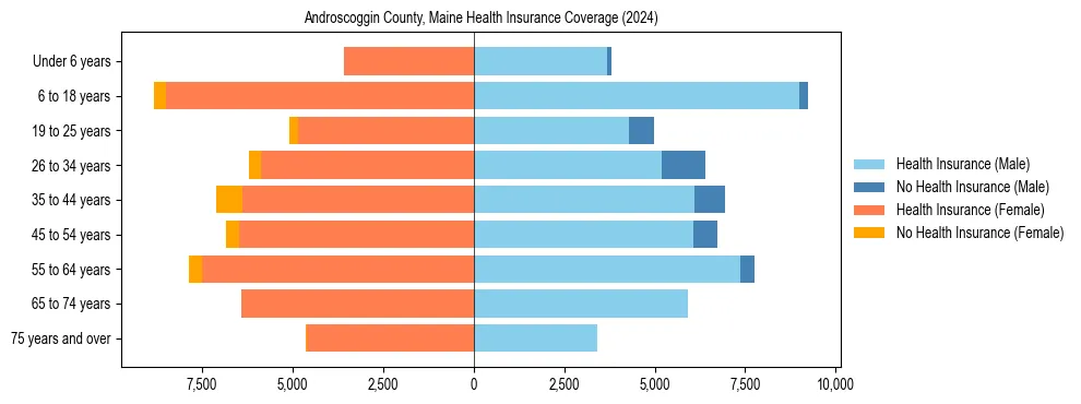 Health insurance pyramid for Androscoggin County, Maine