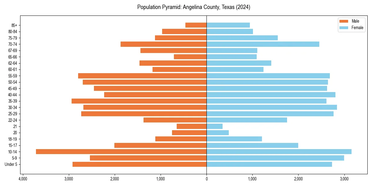 Population pyramid for 