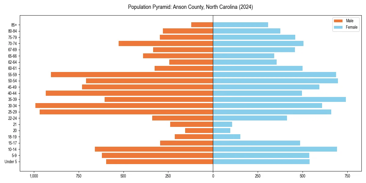 Population pyramid for 