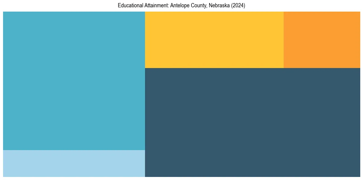 Education Treemap for  in 2024