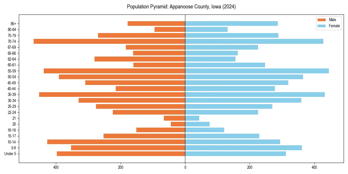 Population pyramid for 