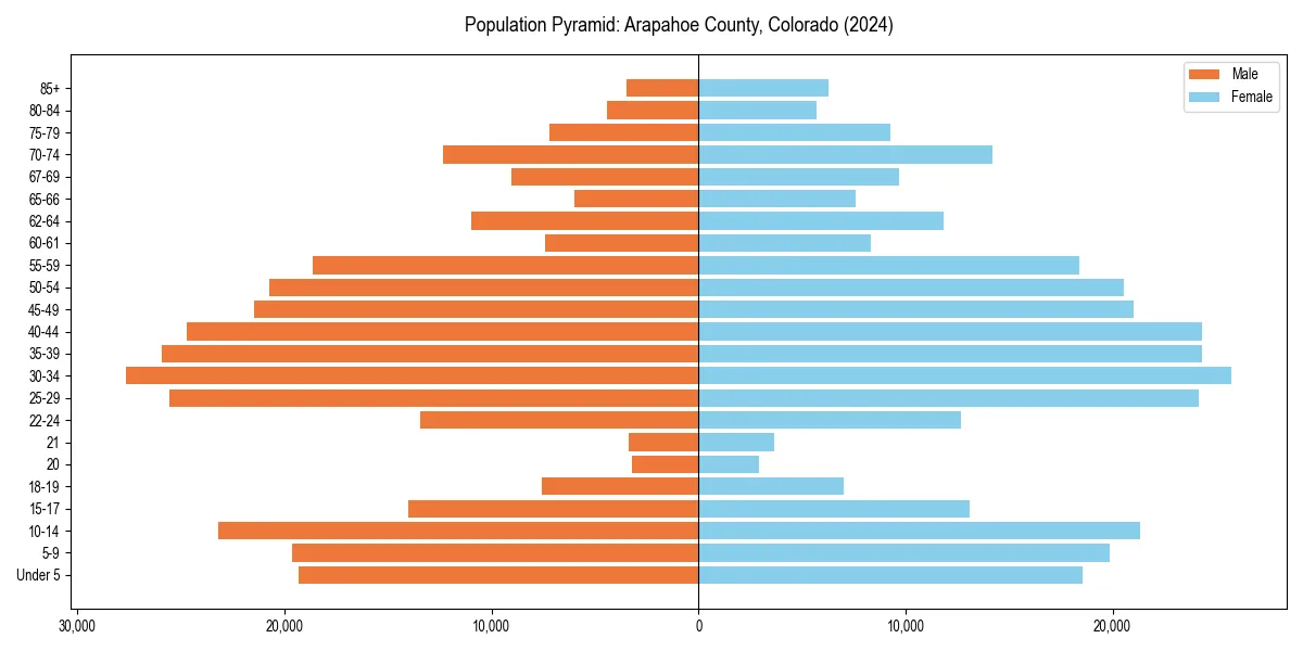 Population pyramid for 