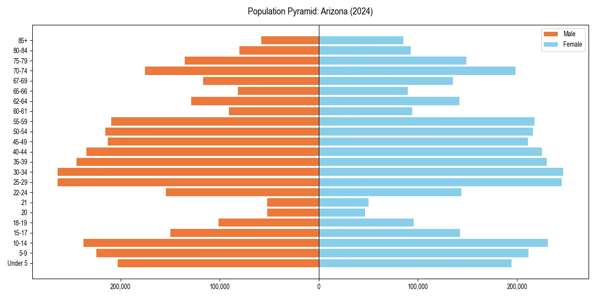 Population pyramid for 