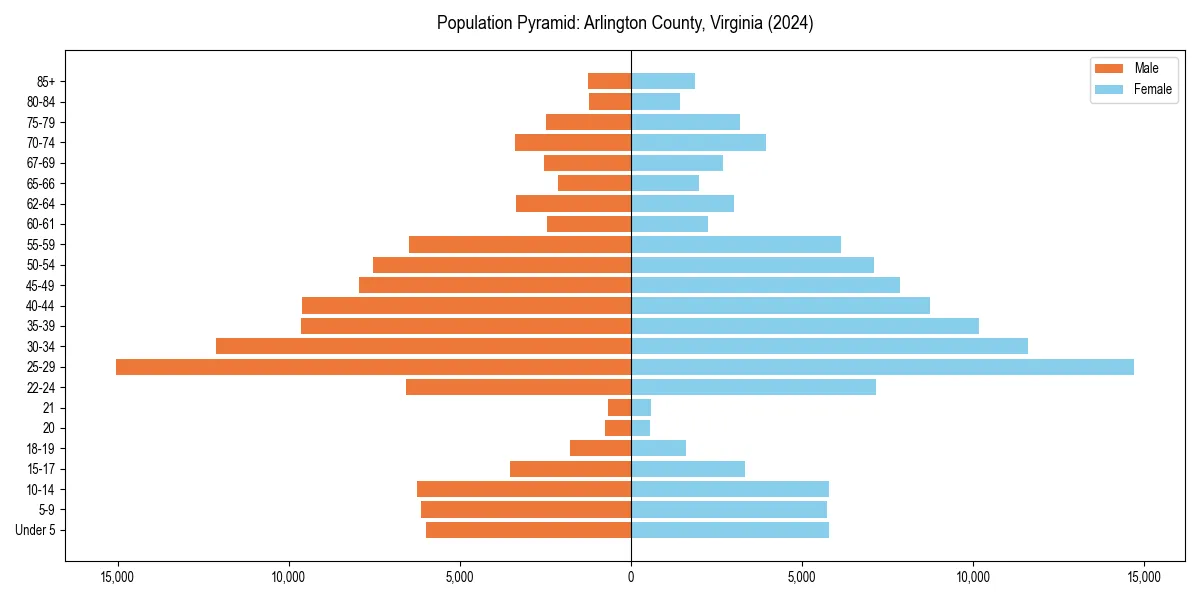 Population pyramid for 