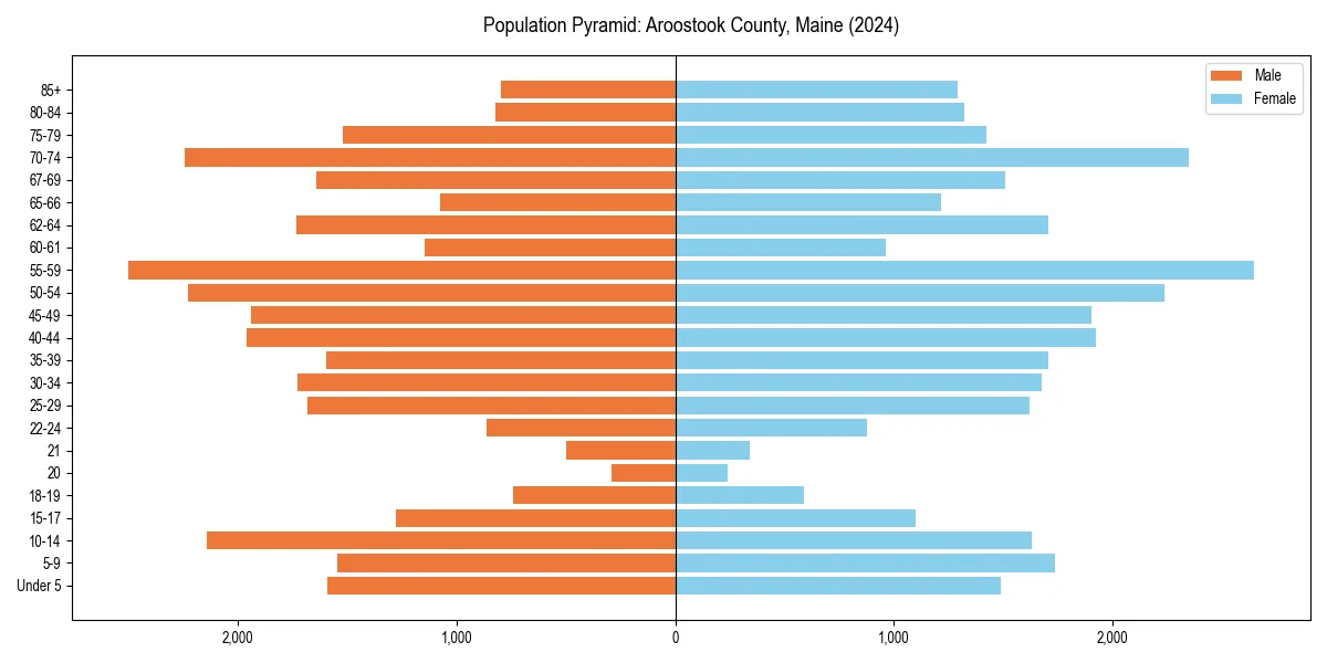 Population pyramid for 