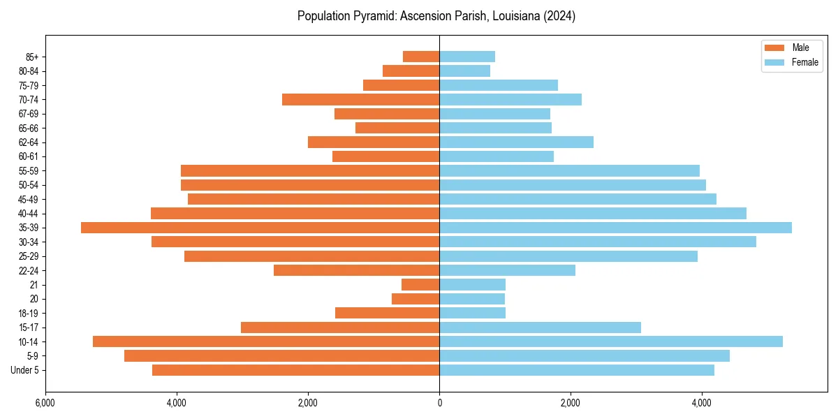 Population pyramid for 