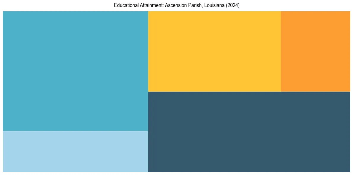 Education Treemap for  in 2024