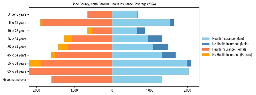 Health insurance pyramid for Ashe County, North Carolina