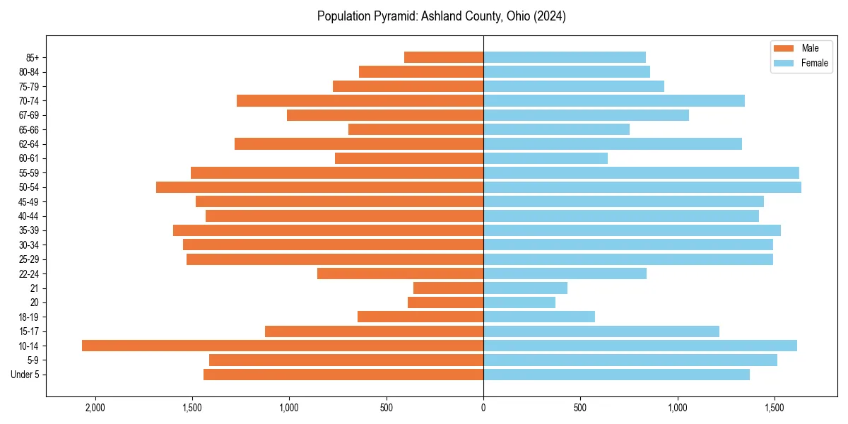 Population pyramid for 