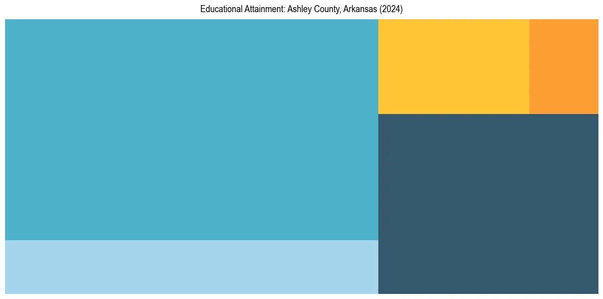 Education Treemap for  in 2024