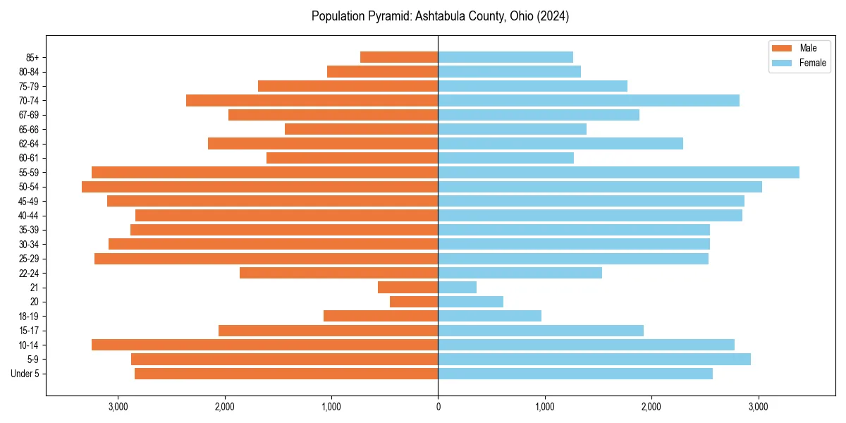 Population pyramid for 