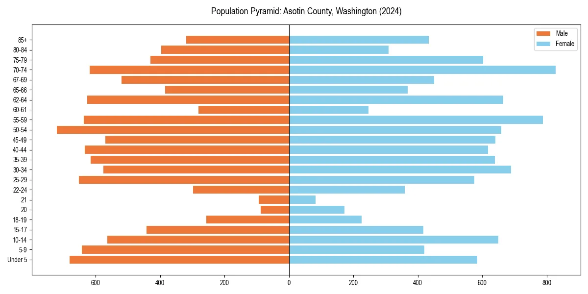 Population pyramid for 