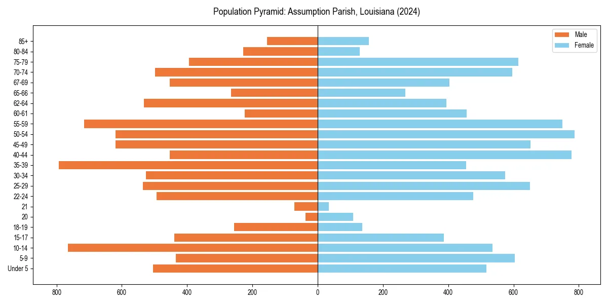 Population pyramid for 
