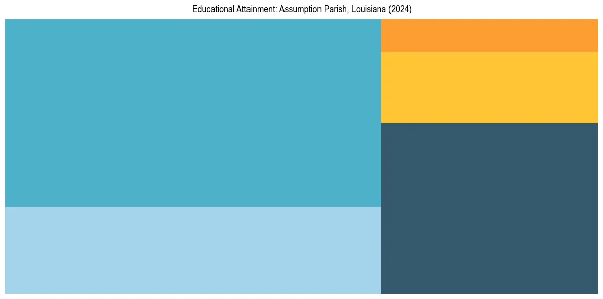 Education Treemap for  in 2024