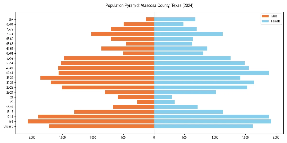 Population pyramid for 