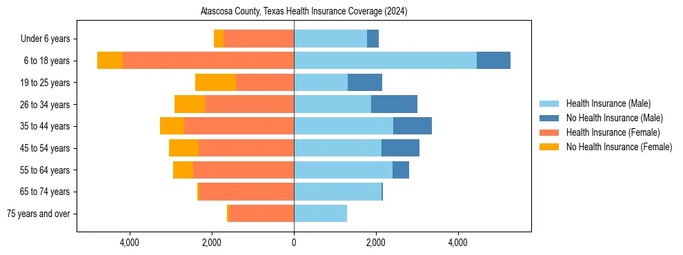 Health insurance pyramid for Atascosa County, Texas